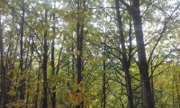 20161030_132000.jpg