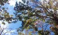 20161030_130814.jpg
