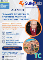 Διάλεξη Β.Τομάζου_poster forum,social.jpg