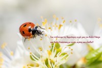 Ευχές για Πάσχα_2025.jpg